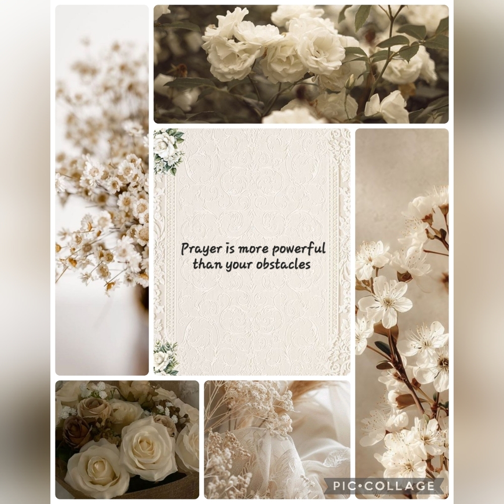 Meet your Posher, Charity